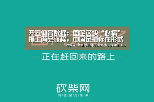 开云体育数据
